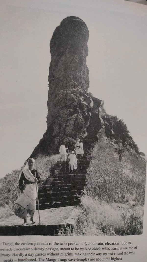 31. Mangi Tungi